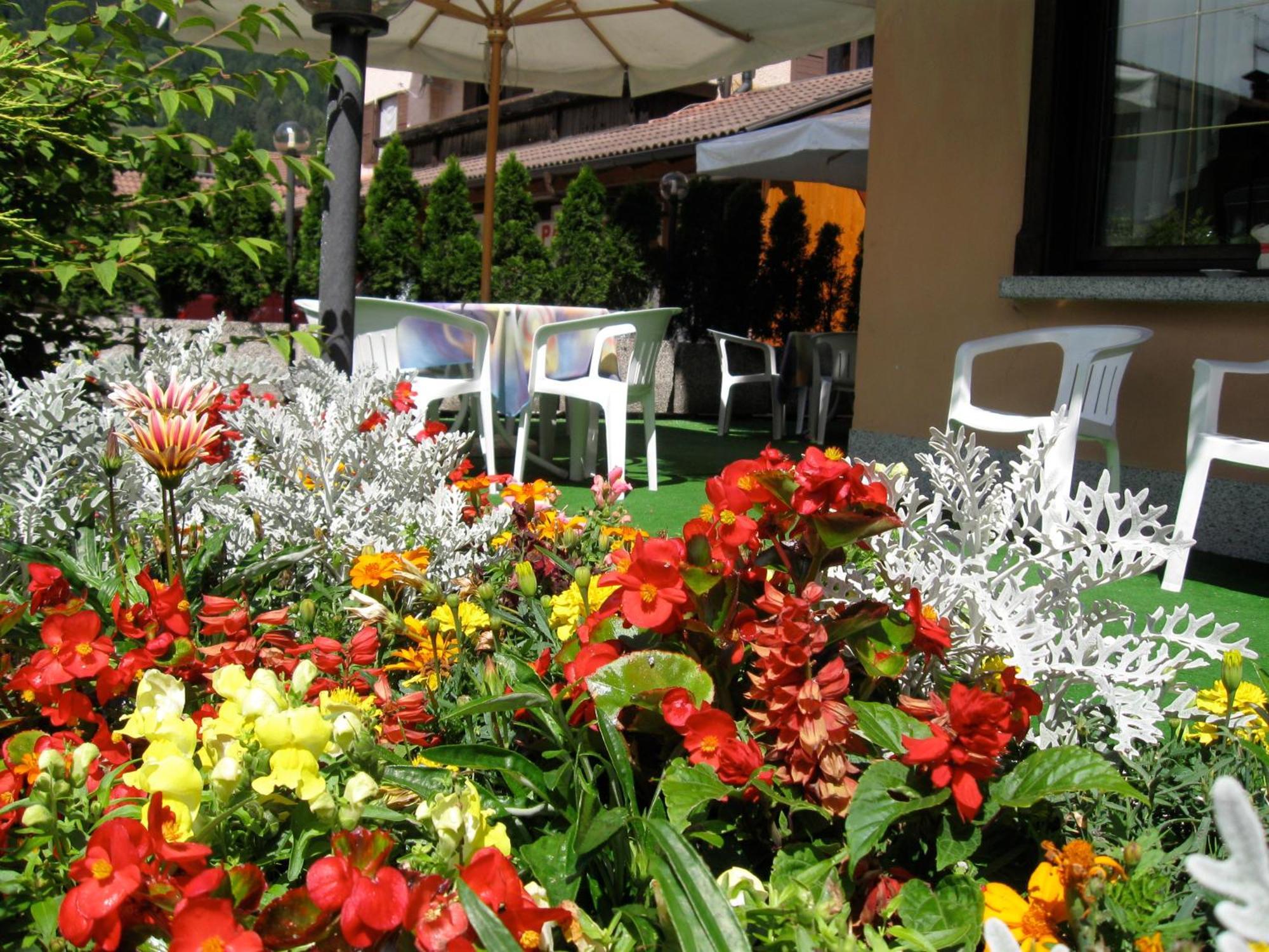 Hotel Binelli Pinzolo Buitenkant foto