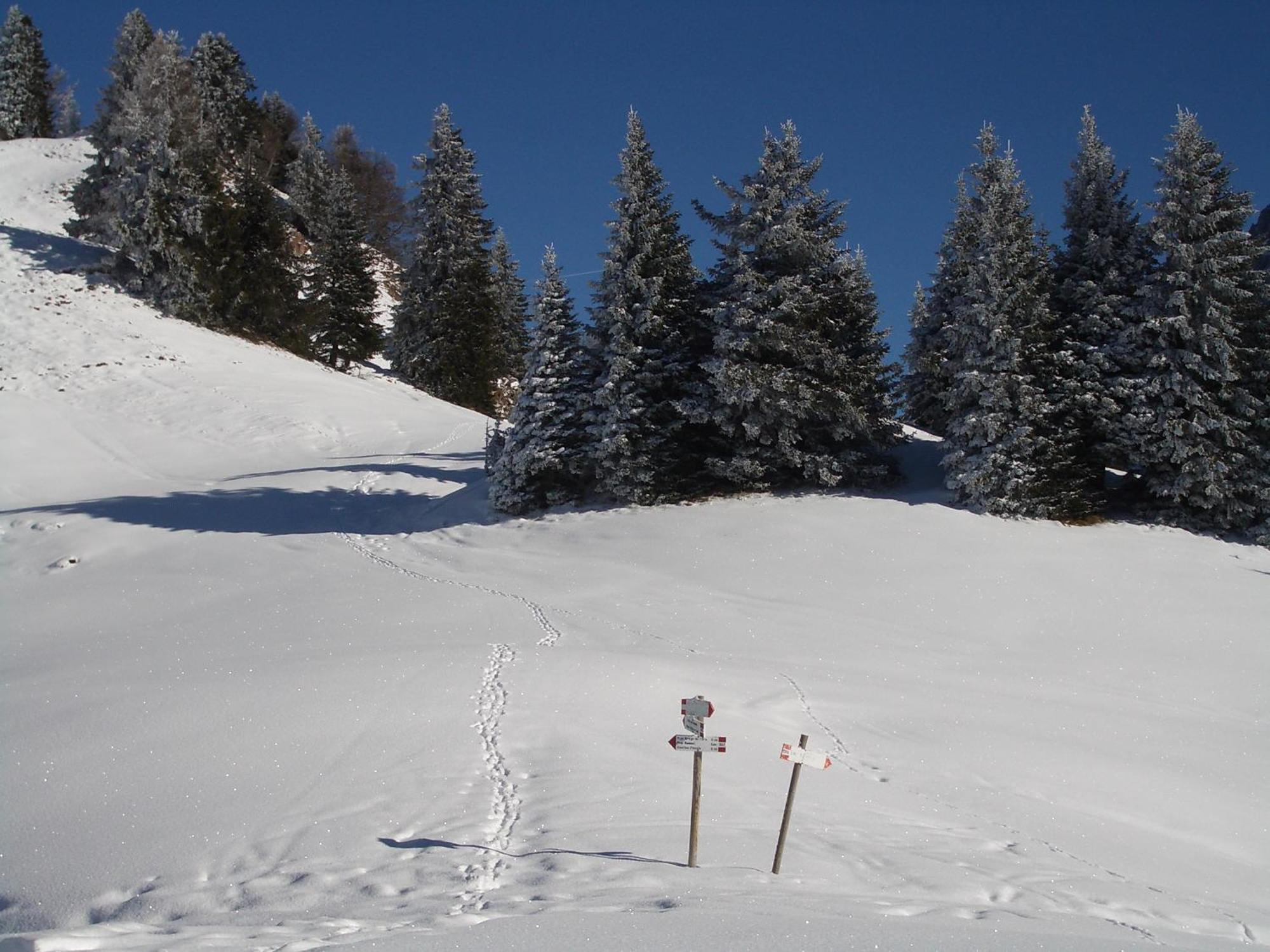 Hotel Binelli Pinzolo Buitenkant foto