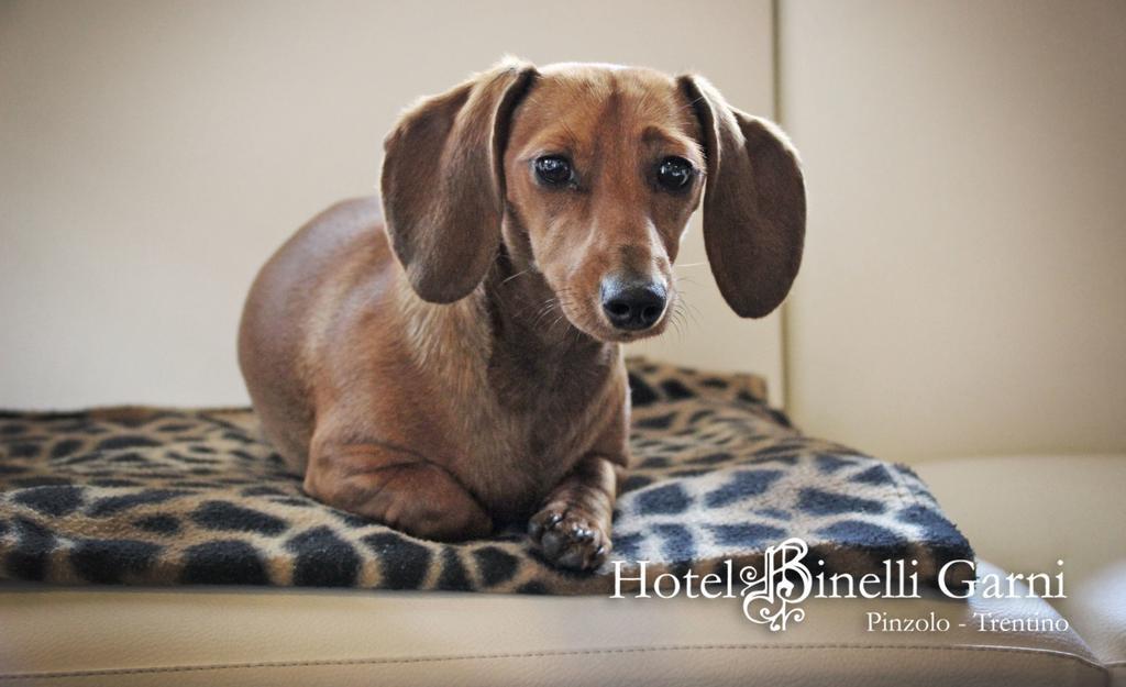Hotel Binelli Pinzolo Buitenkant foto